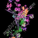 Colour:B