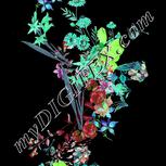 Colour:C