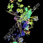 Colour:D
