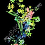 Colour:K