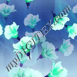 Colour:C