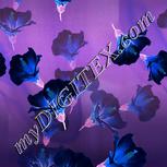 Colour:F