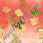 Colour:A