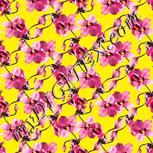 Colour:A