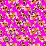 Colour:B
