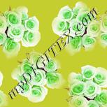 Colour:D
