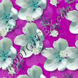 Colour:C
