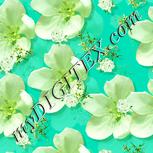 Colour:K