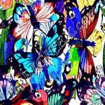 Colour:A