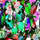 Colour:B