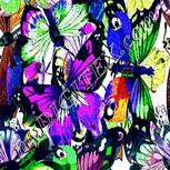 Colour:D