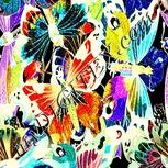 Colour:F