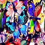 Colour:J