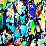 Colour:K
