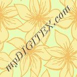 Colour:K