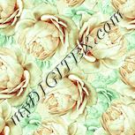 Colour:K
