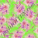 Colour:C