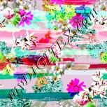 Colour:B