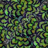 Colour:D