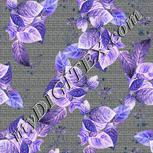 Colour:F