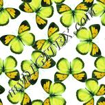 Colour:K