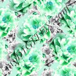 Colour:C
