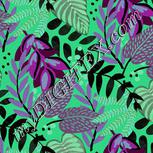 Colour:C