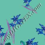 Colour:F