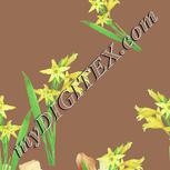 Colour:K