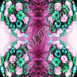 Colour:B