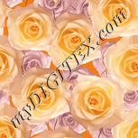 Colour:J