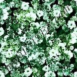 Colour:C