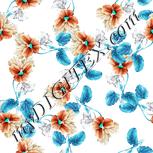 Colour:C
