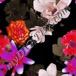 Colour:B