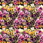 Colour:A