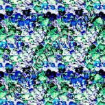 Colour:F