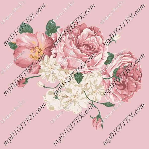 Peony EAC4C6