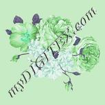 Colour:C