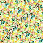 Colour:K