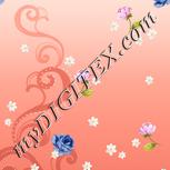 Colour:A