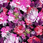 Colour:B