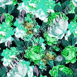 Colour:C