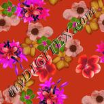 Colour:B