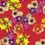 Colour:K