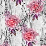 Colour:B