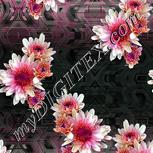 Colour:B