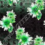 Colour:C