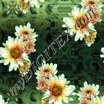 Colour:K