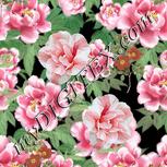 Colour:A