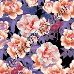 Colour:B